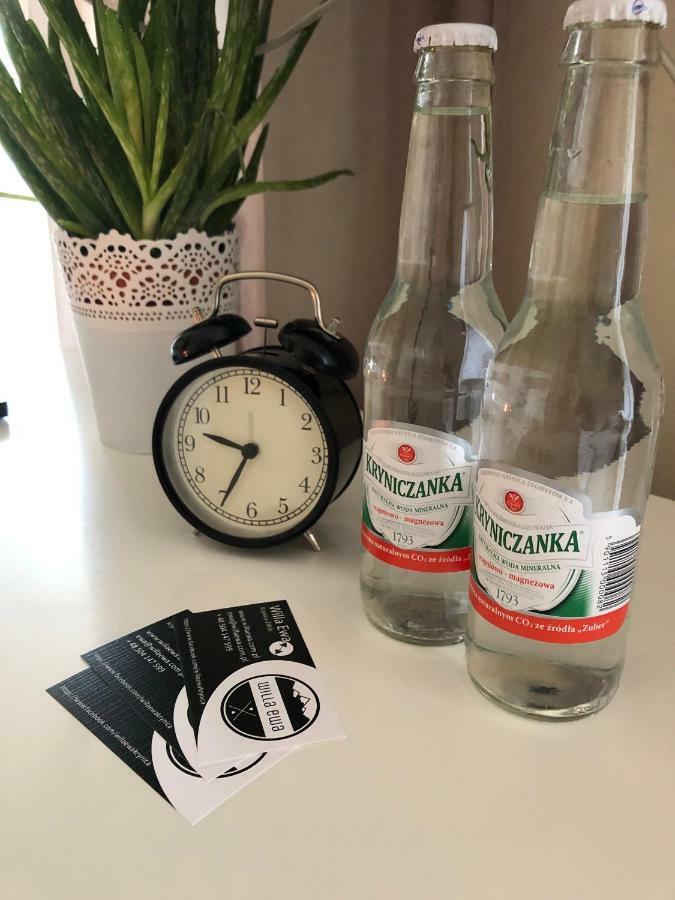 Willa Ewa Krynica Zdroj Eksteriør bilde